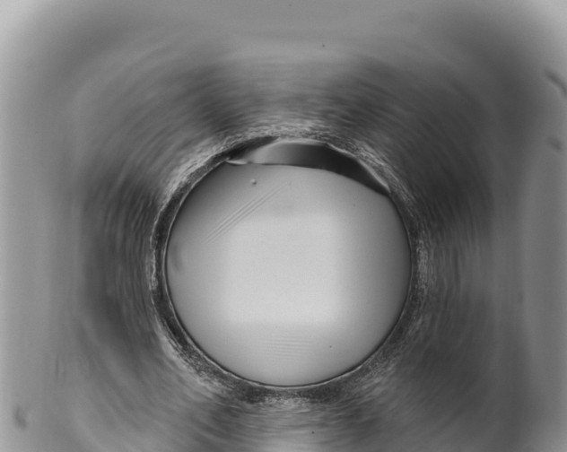X0000100210582200806201447