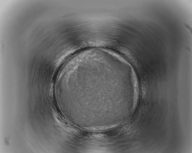 X0000100210583200806201447