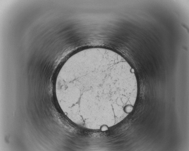 X0000100210584200806201447