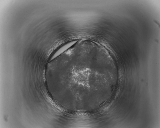 X0000100210585200806201447