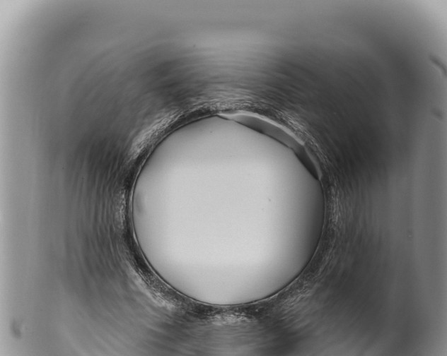 X0000100210586200806201447