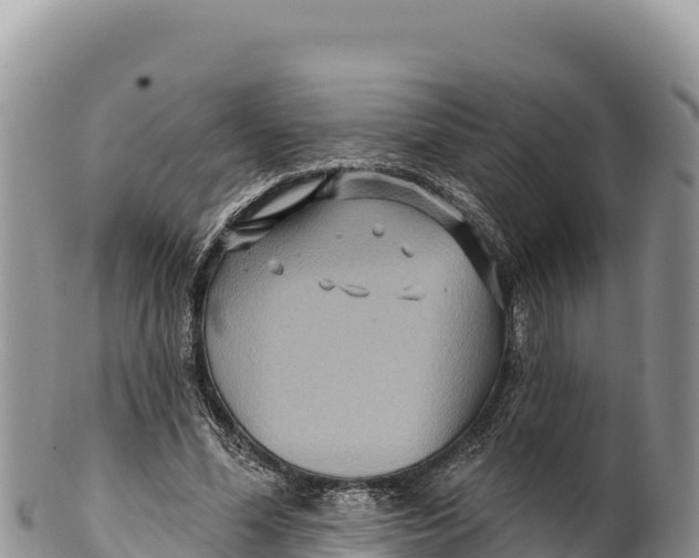 X0000100210588200806201447