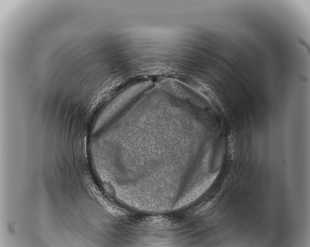X0000100210589200806201447