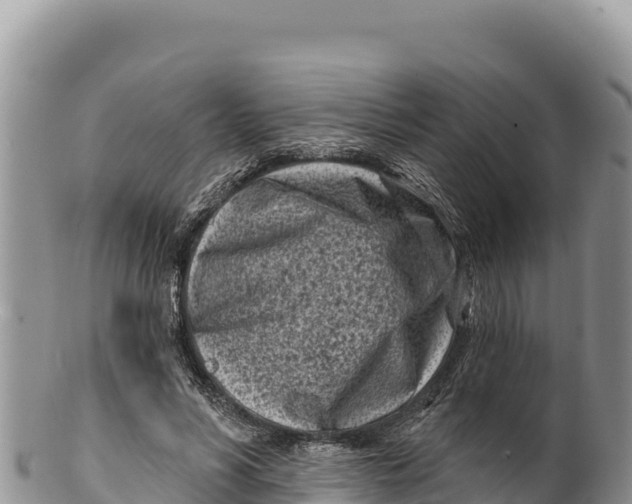 X0000100210590200806201447
