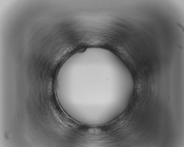 X0000100210591200806201447