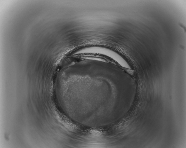 X0000100210592200806201446