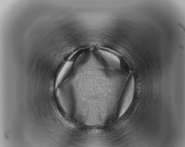 X0000100210593200806201446