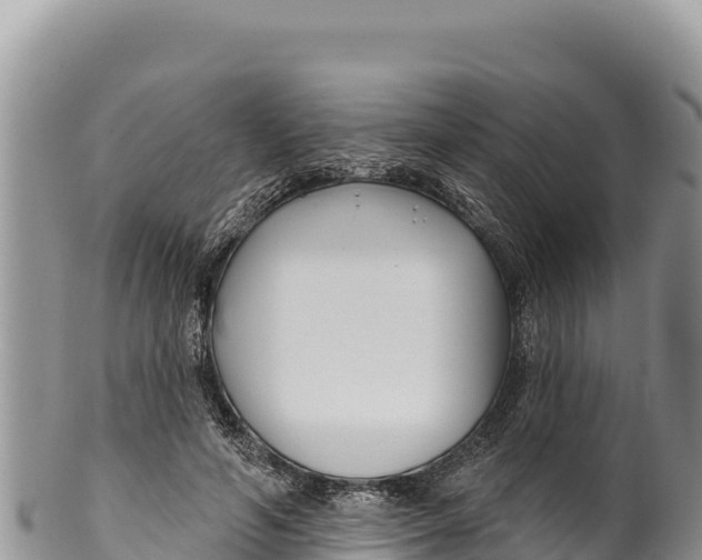 X0000100210594200806201446