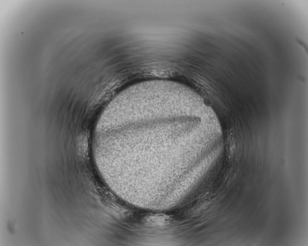 X0000100210595200806201446