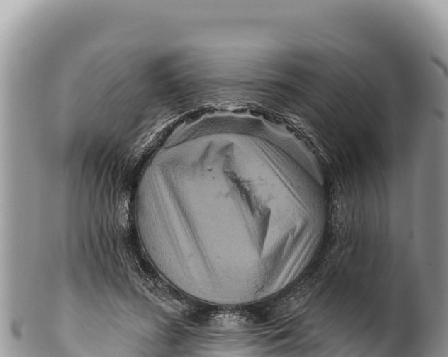 X0000100210596200806201446