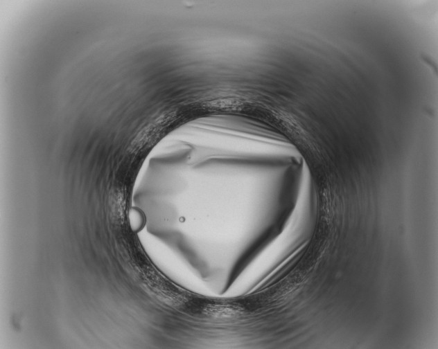 X0000100210597200806201446