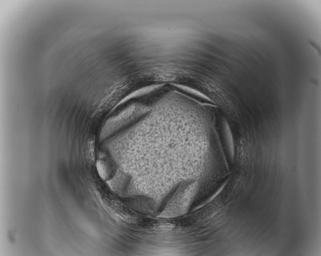 X0000100210598200806201446