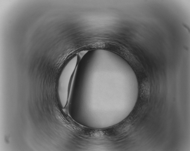 X0000100210600200806201446