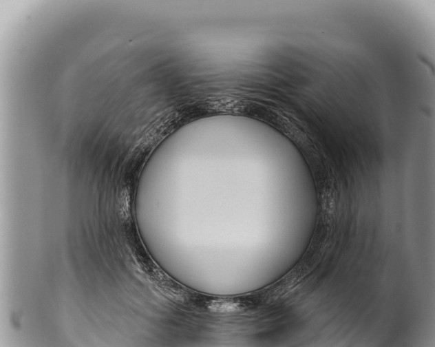 X0000100210602200806201446