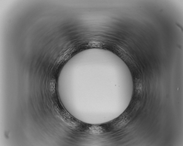 X0000100210603200806201446