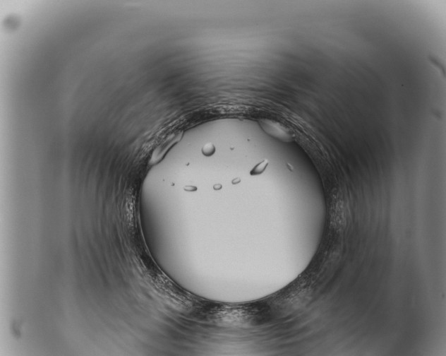 X0000100210604200806201446