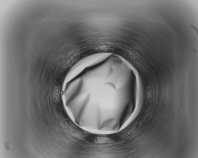 X0000100210605200806201446