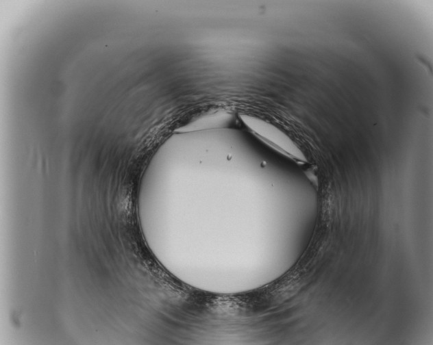 X0000100210608200806201446