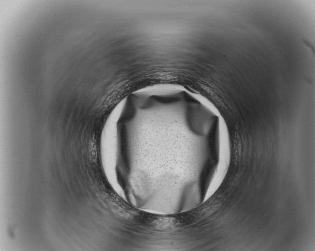 X0000100210609200806201446