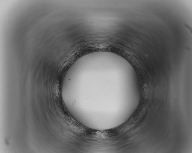 X0000100210612200806201446