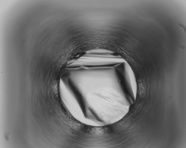 X0000100210613200806201446