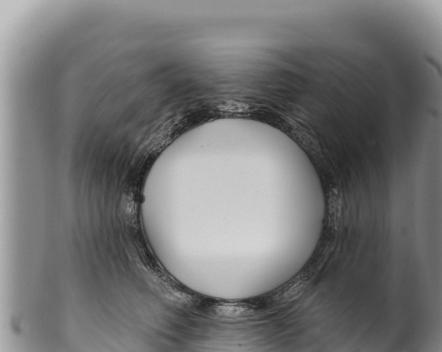 X0000100210614200806201446