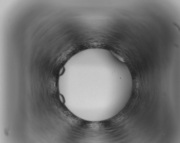 X0000100210615200806201446