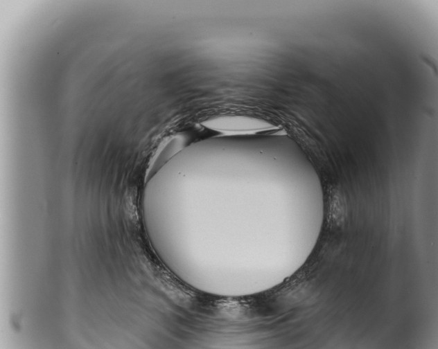 X0000100210616200806201446