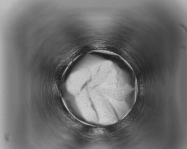 X0000100210618200806201446