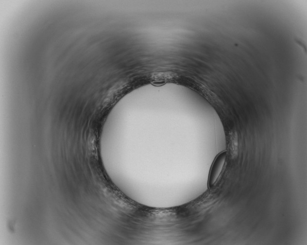 X0000100210619200806201446