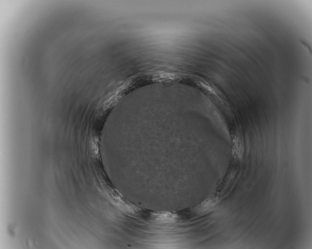 X0000100210621200806201446