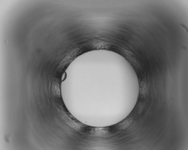 X0000100210622200806201446