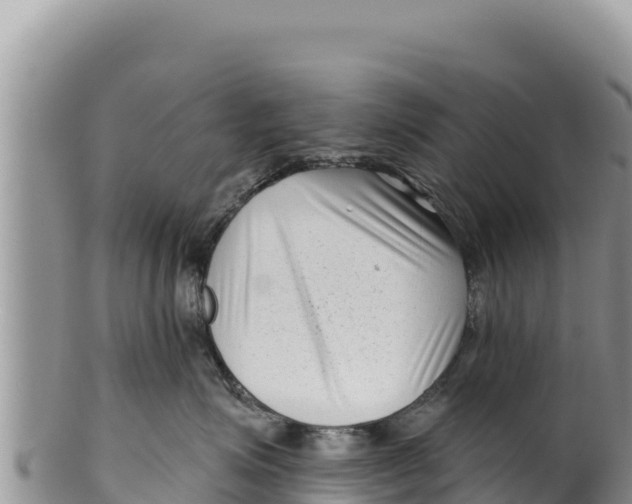 X0000100210623200806201446