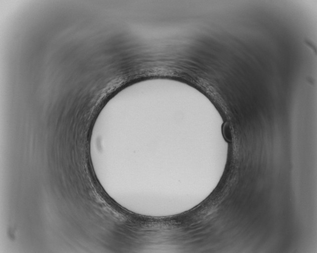 X0000100210625200806201445