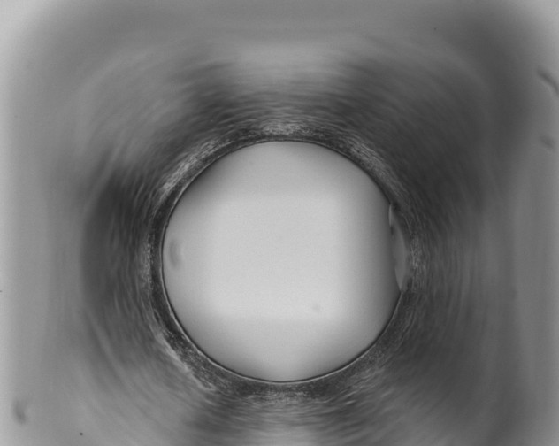 X0000100210626200806201445