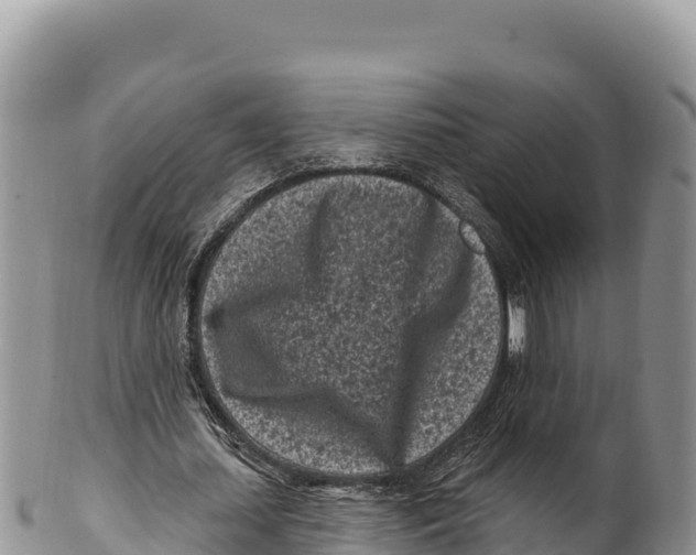 X0000100210627200806201445