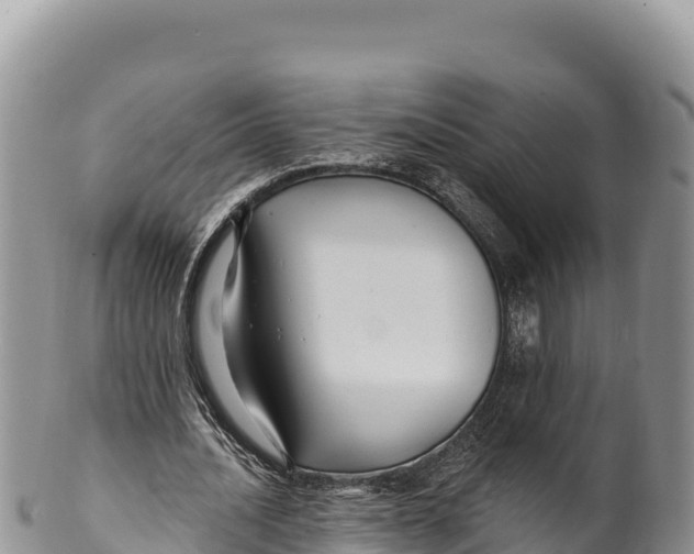 X0000100210628200806201445