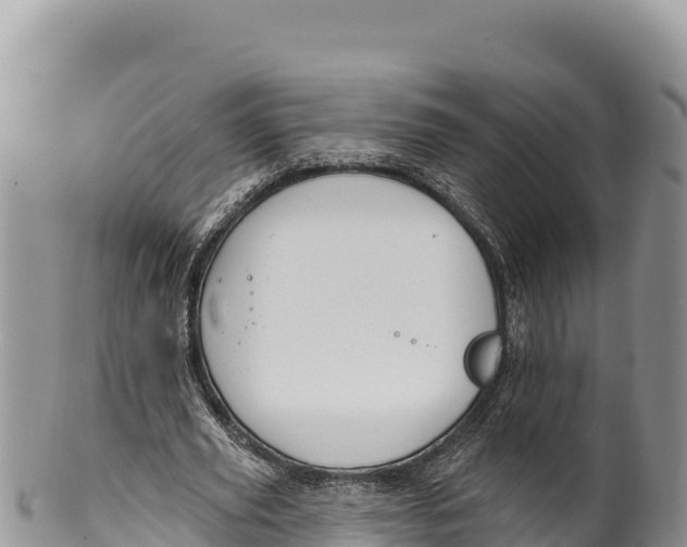 X0000100210629200806201445