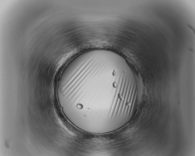 X0000100210630200806201445