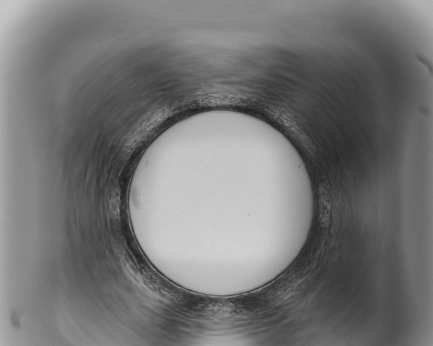 X0000100210631200806201445