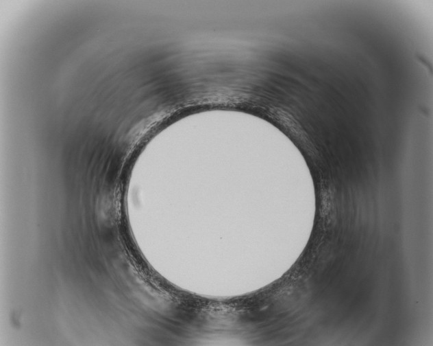 X0000100210632200806201445