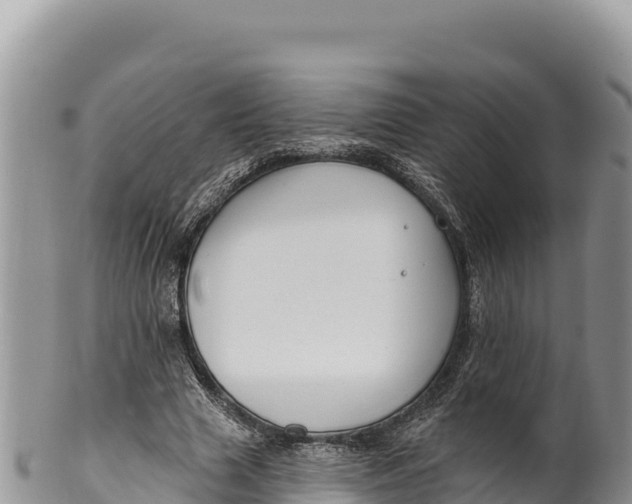 X0000100210633200806201445