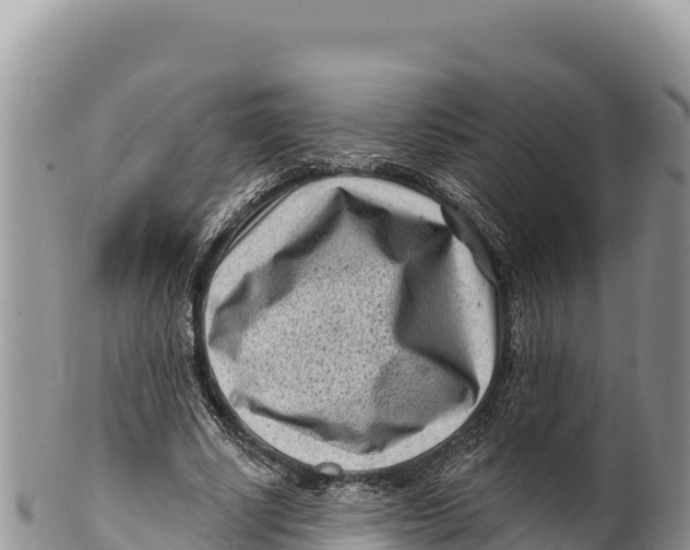 X0000100210634200806201445