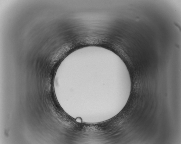 X0000100210635200806201446