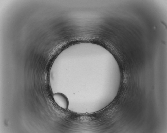 X0000100210636200806201446