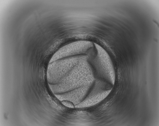 X0000100210637200806201446