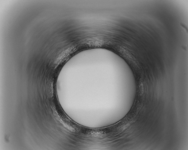 X0000100210638200806201446