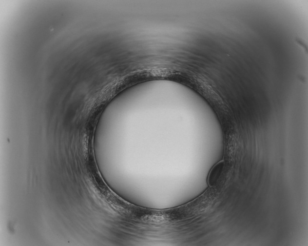 X0000100210639200806201446