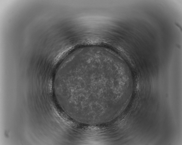 X0000100210640200806201446