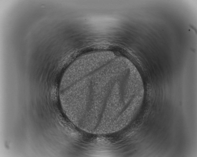 X0000100210641200806201446